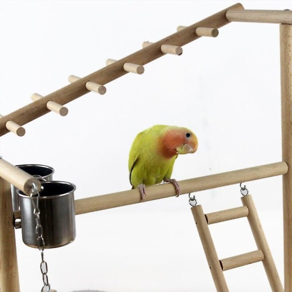 Fågelleksaker trä fågel abborre stativ matarkoppar lekplats övning
