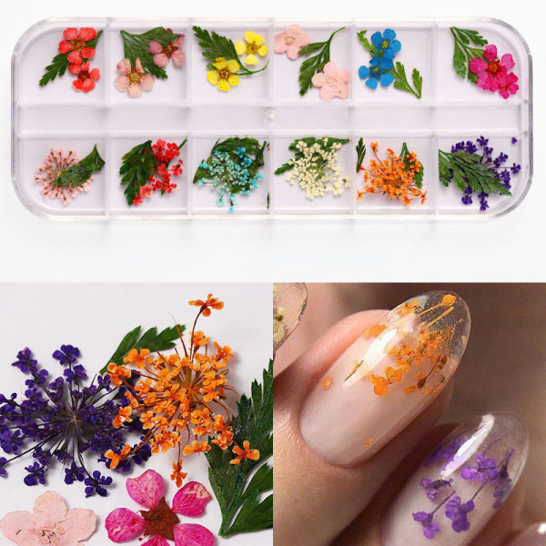 Kynsikoristeet nail art varten Japanilainen kynsi kuivattu kukka 12 väriä laatikko 24 kukkaa Nail beauty dried flowers O style