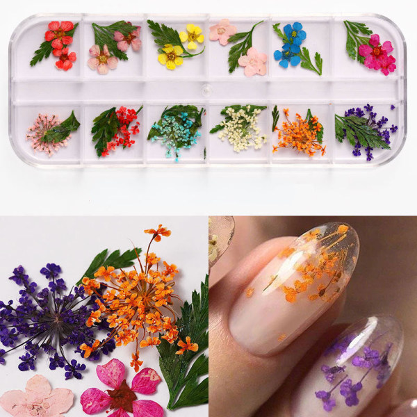 Nageldekorationer för nail art Japansk nageltorkad blomma 12 färger boxas 24 blommor Nail beauty dried flowers E style