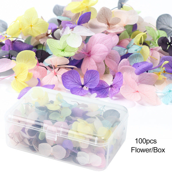 Kynsikoristeet nail art varten Japanissa suositut ikuiset kuivatut kukat -100 flowers/box (12g)