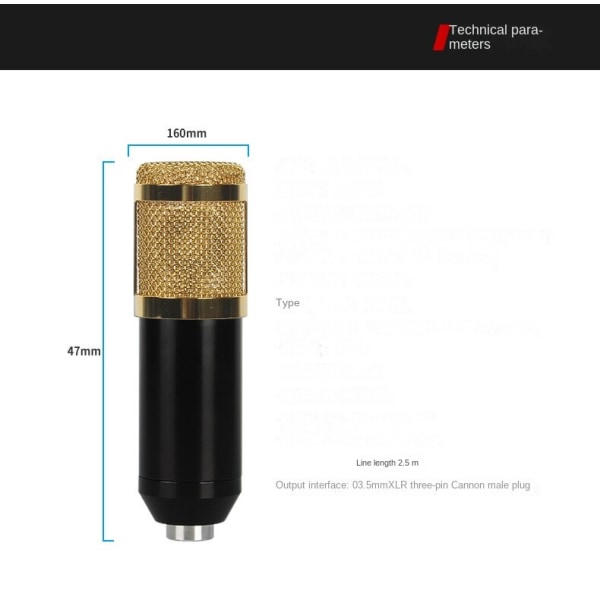 Engros Kondensatormikrofon Bm800 Mobiltelefon Datamaskin Live Karaoke-opptaksmikrofon Cantilever-brakettsett BM899 Black gold mesh