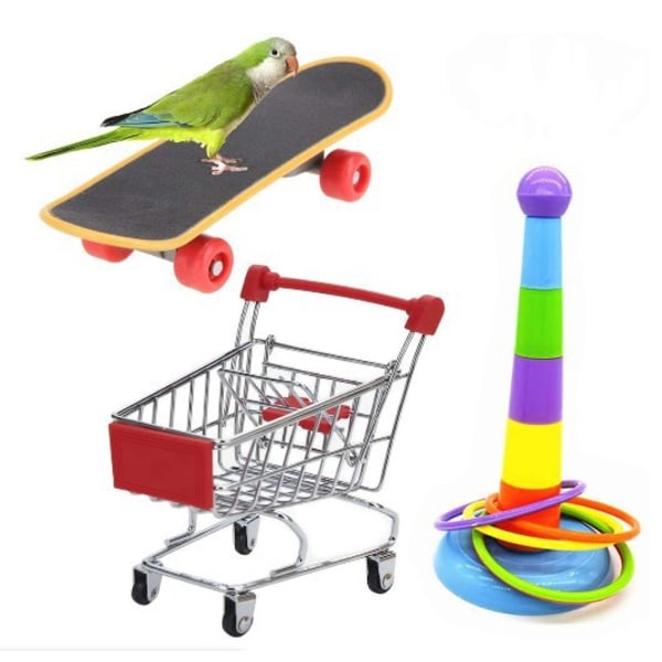 Säker, giftfri fågelleksaker Papegojabetthylsa Skateboard Kundvagn 3-delat set