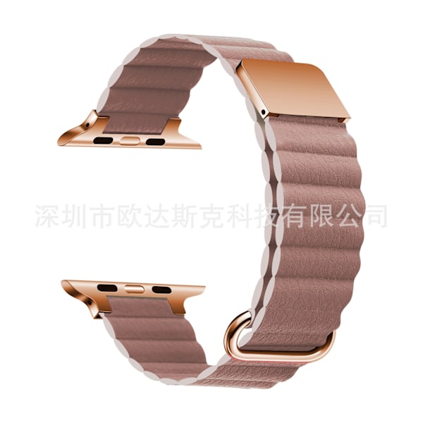 Klockarmband för Apple Watch iWatch 38/40/41/ 10:e generationen 42mm köttpulver