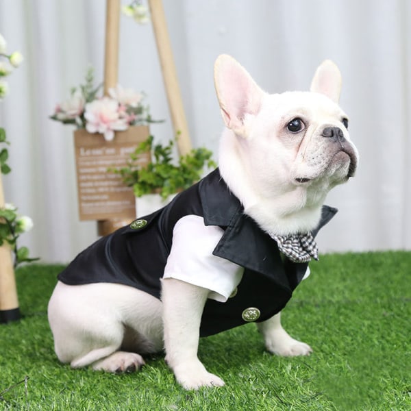 Kjæledyr klær dress brudekjole små og mellomstore hunder forsyninger black suit s