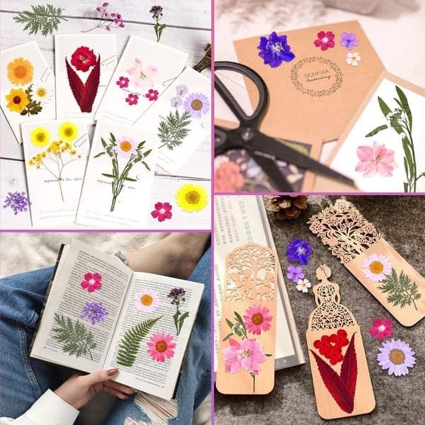 Tørrede blomster, DIY håndværkssæt med tørrede blomster, konserverede blomster