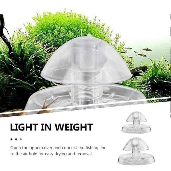 2 st akvarieväxter snigel planaria snigelfångstlåda akvariesnigel