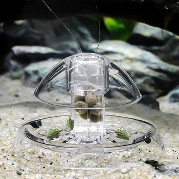 2 st snigelfälla för akvarium plast klar snigelfälla akvarieväxter planaria igelkott ca