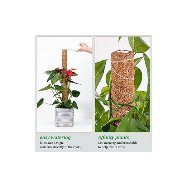 Stöd för klätterväxter inomhus, Monstera kokosväxtstöd, 50 cm växtstöd, Stöd för klätterväxter inomhus, Bladmossväxtstöd, Set med