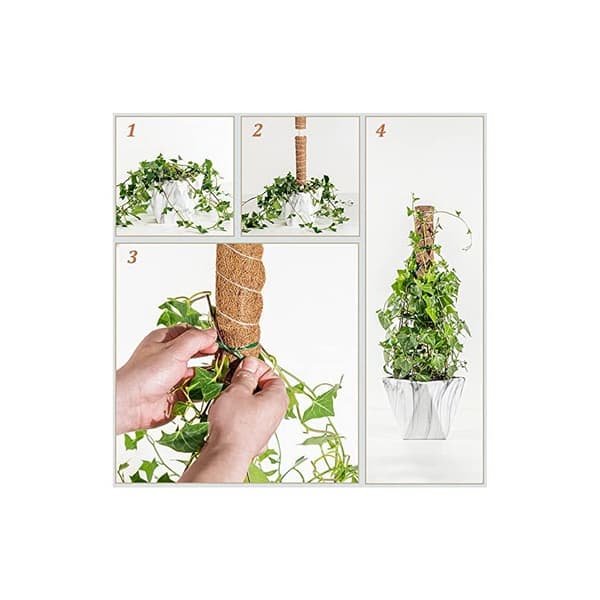 Stöd för klätterväxter inomhus, Monstera kokosväxtstöd, 50 cm växtstöd, Stöd för klätterväxter inomhus, Bladmossväxtstöd, Set med