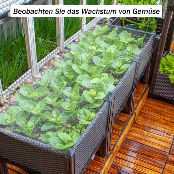 Drivhusfolie, transparent drivhusfolie, til havetunneldrivhuse af polyethylen (2 x 6m)