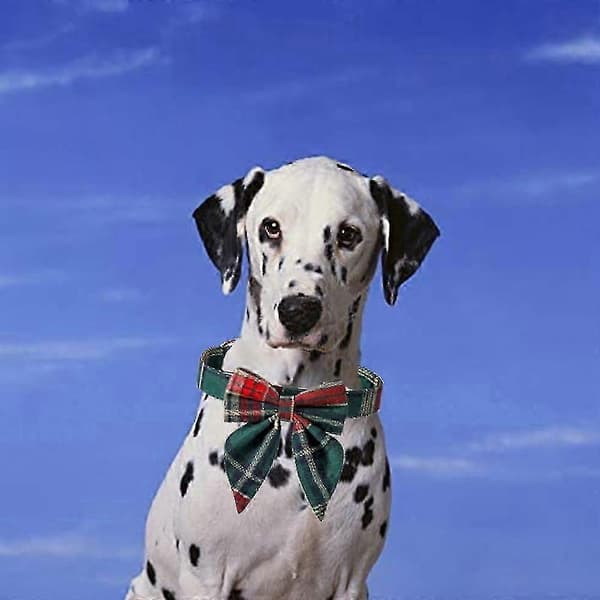 Justerbart hundehalsbånd med sløyfe for små til store hunder