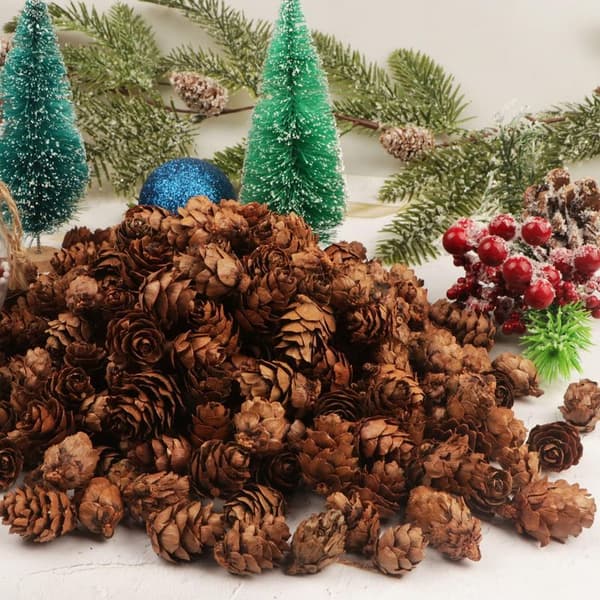 200 stycken julkottar, mini naturliga kottar, tacksägelsekottar, julkottar, prydnader för hemma-DIY-hantverk