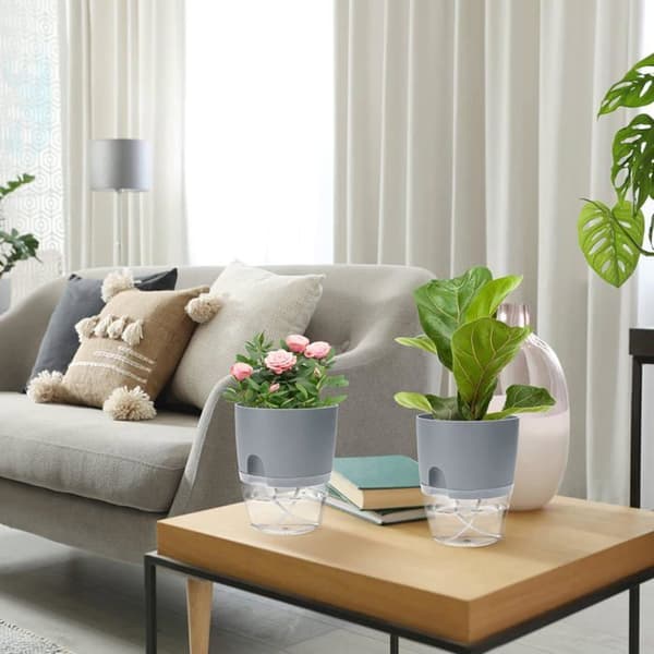 Rektangulär självvattnande kruka för inomhusbruk, grå - 4-pack, transparent vattenreservoar