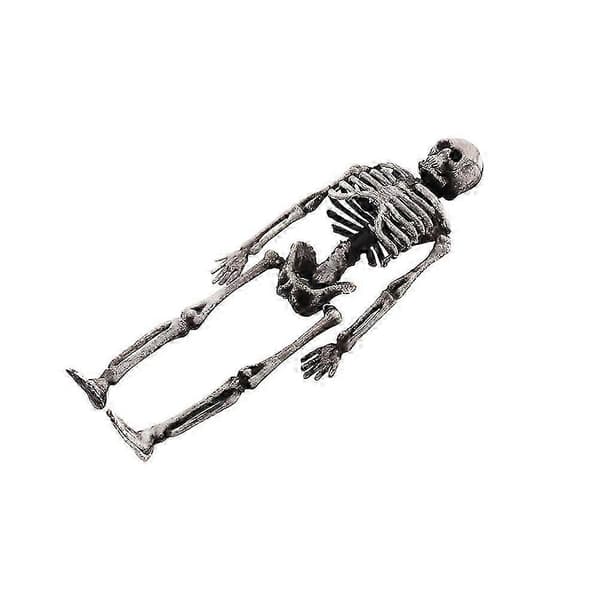 Simuleret skeletrekvisit Halloween skelet Lille menneskeknoglemodel