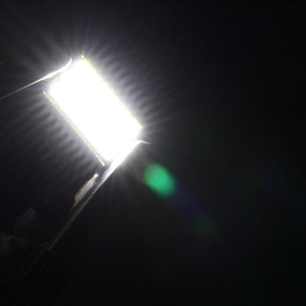 LED-pære C5W - 42mm - 6000K (x4) - Feilfri
