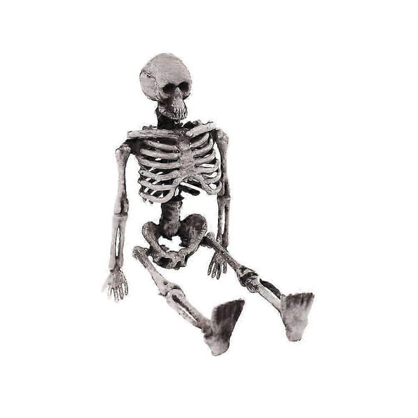 Simuleret skeletrekvisit Halloween skelet Lille menneskeknoglemodel