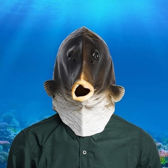 Rabatt Fisk Maske Halloween Kostyme Fest Dyr Full Hode Cosplay