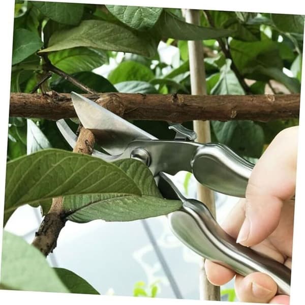 PC Garden Fruit Shears Professional Garden Scissors Twig Scissors Branch Pruner Gardening Pruner Twigs Pruning Tools Branch Scissors