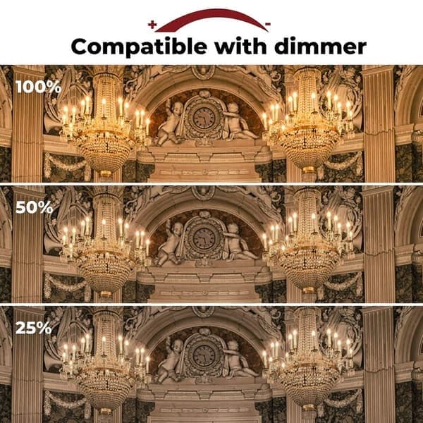 42W E14 C35 Dimbar Halogenlampa AC 220-240V Varmvit 2700K E14 Transparent Halogenlampa (10st) [DB]