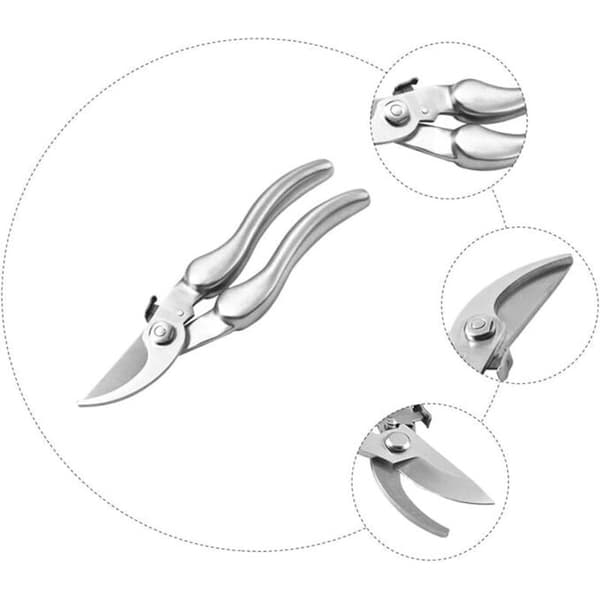 PC Garden Fruit Shears Professional Garden Scissors Twig Scissors Branch Pruner Gardening Pruner Twigs Pruning Tools Branch Scissors