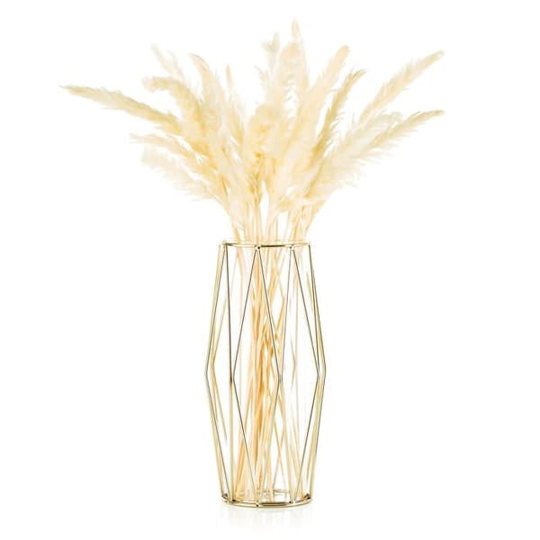 SOLIFLORE Vase - Fransk Guld - Geometrisk Metalbase - Cylindrisk Glasrør