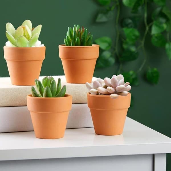 Sæt med 20 mini terrakotta potter til sukkulenter, 3 cm x 3,5 cm, med drænhul