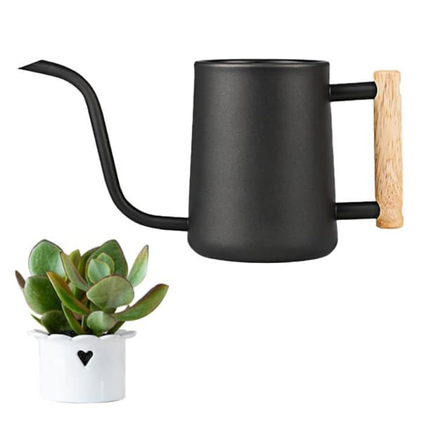 900 ml vandkande i rustfrit stål - 16 cm fin tud, træhåndtag, sort, til indendørs planter