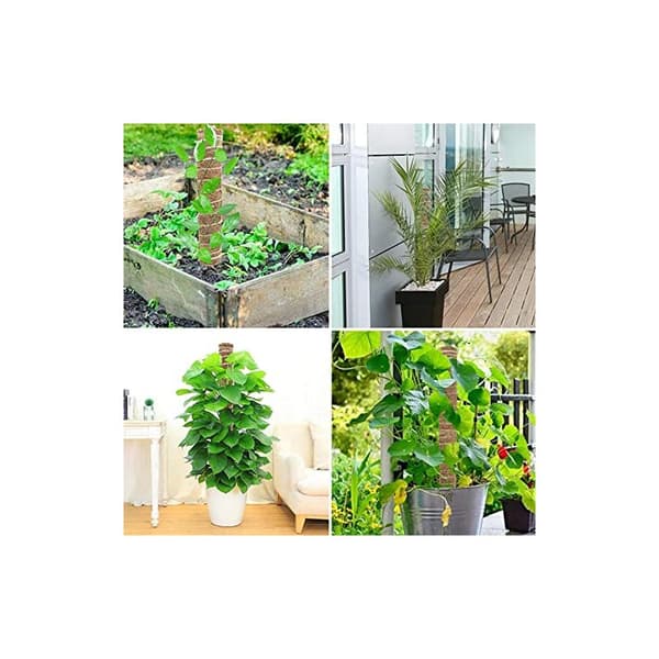 Stöd för klätterväxter inomhus, Monstera kokosväxtstöd, 50 cm växtstöd, Stöd för klätterväxter inomhus, Bladmossväxtstöd, Set med