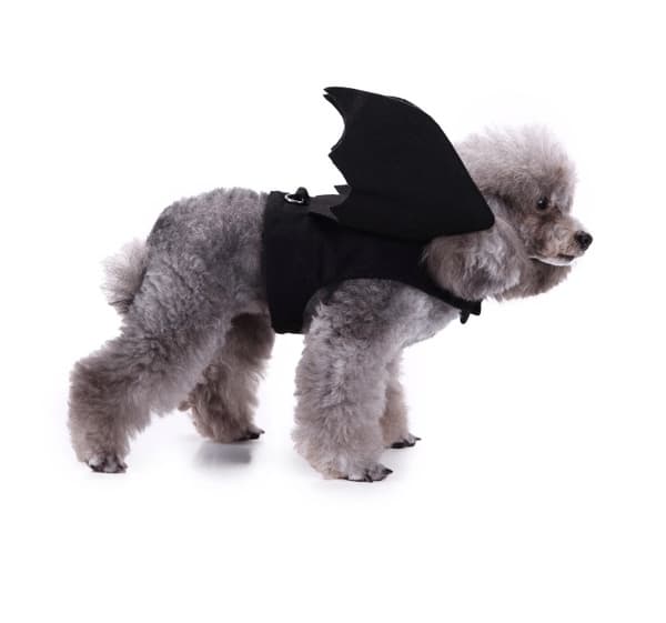 Kæledyrstøj til Halloween-fest type2 L type2 L