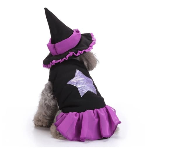 Kæledyrstøj til Halloween-fest type5 L type5 L