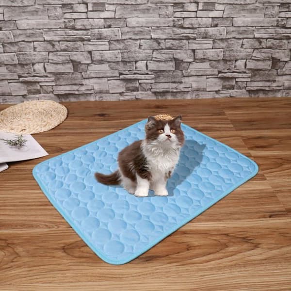Kølemåtte til hunde 60 x 50 cm - blå, selvkølende, foldbar og vaskbar