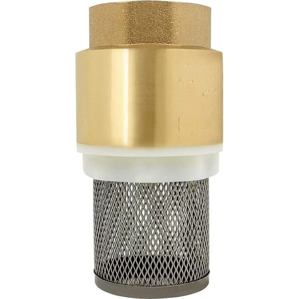 Tilbageløbsventil med si 1/2\", 3/4\", 1\", 2 tommer - kontraventil, kontraventil til pumpe (2 tommer)