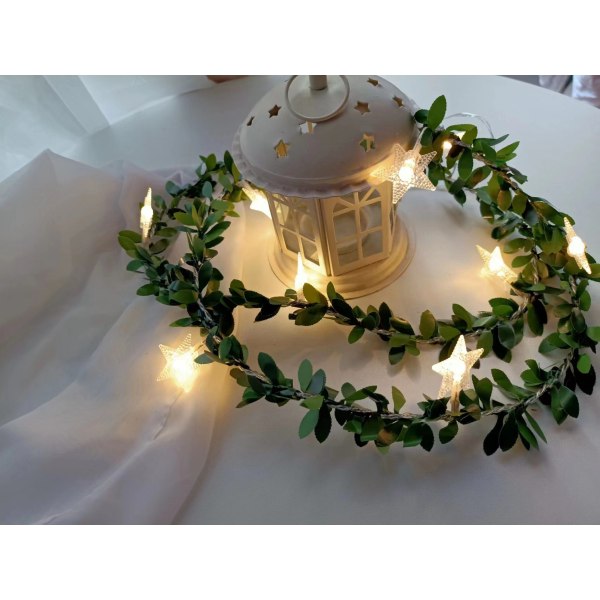 Rosar rottingljussträng LED skum små vita blommor rottingljussträng bröllop inomhus balkong dekorativt ljus Big bubble bead vine 6m 40 light (battery box)