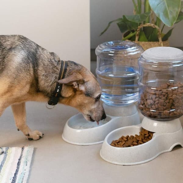 2X Tørfoder- og vanddispenser - Tilbehør til kat og hund - 2X Automatisk madskål - til kat, hund, kanin - Kapacitet 3,8L