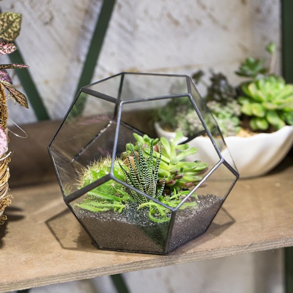 5,9\" geometrisk terrariumkrukke i svart glass, håndlaget Pentagon C