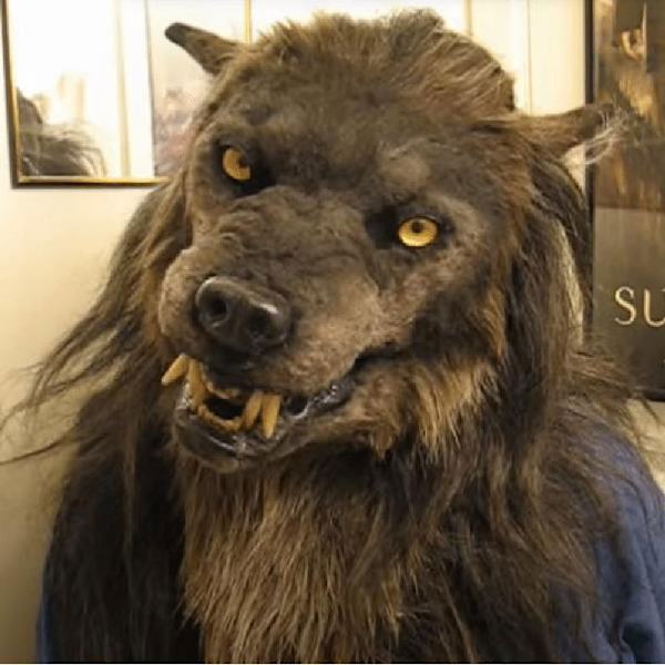 Halloween-skräck latex stoppad djurhuvudmask dansfest simulering cosplay Black wolf