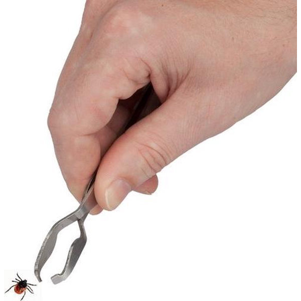 Flåtfjerner i rustfrit stål - Pincet - 13 cm