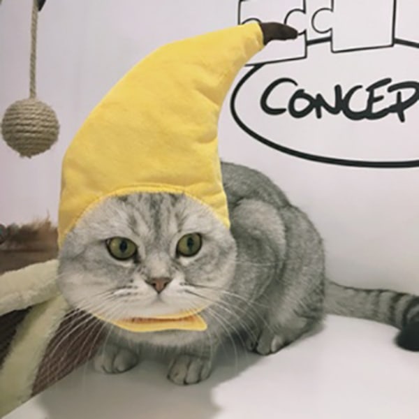 /#/A banana-shaped cat hat that can be used for/#/