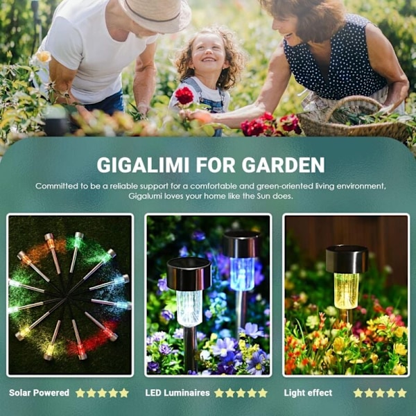 Färgglada Utomhus Solcellslampor Rostfritt Stål LED-lampor 12st Trådlösa för Utomhusbruk, 4.529.5cm