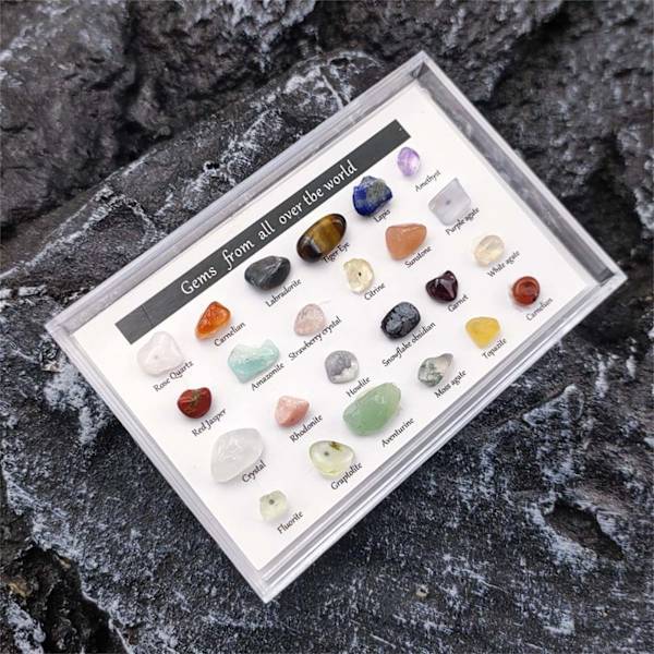 5,9\" geometrisk terrariumkrukke i svart glass, håndlaget Pentagon C