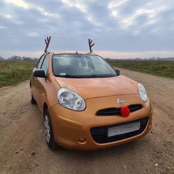 Reinsdyr til bilen - Rudolf
