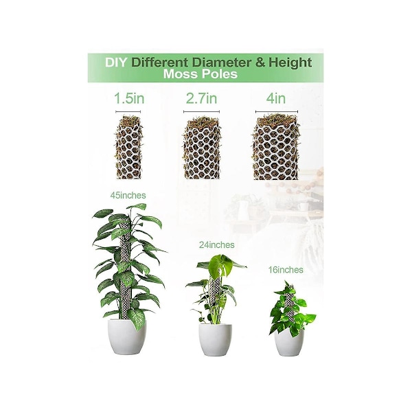 Plast Moss Monstera Poles Mesh Kit, itsekasteltava sammalnapa kasveille, Monstera Support-Xin