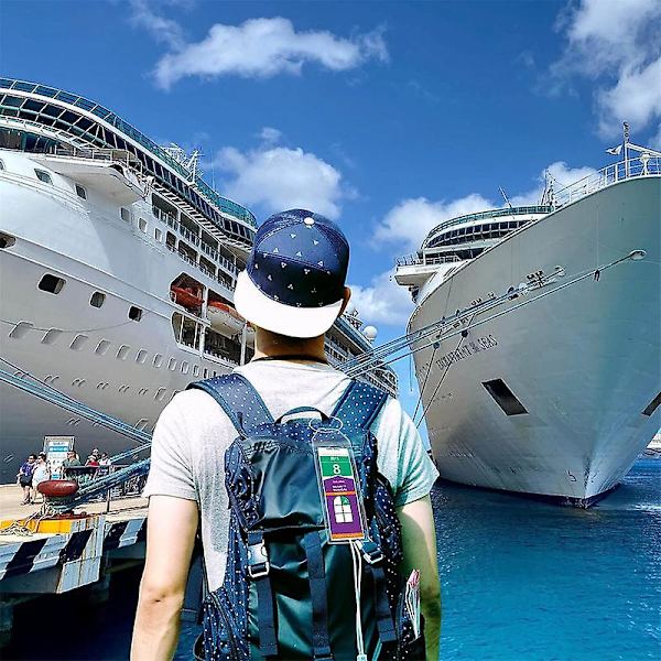 4 stk. Cruise bagagemærker gennemsigtige vandtætte tykke bagagemærker med lynlås og stålløkker til Royal Caribbean skibe og berømtheder