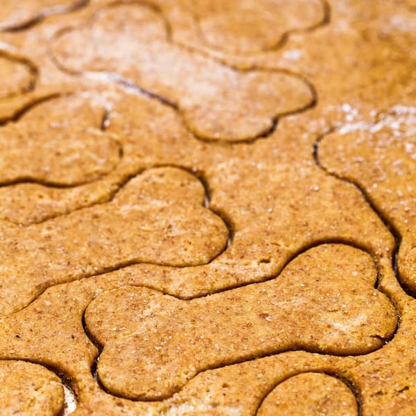 Hundekageforme rustfrit stål til børn 5 stk