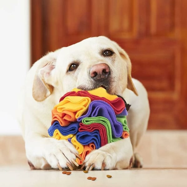 Hundleksak Snuffelboll, Aktiveringsleksak Hund, Interaktiv Hundleksak, Pussel Långsam Matning Snuffelmatta, Stressreducerande för Små och Mellanstora Hundar