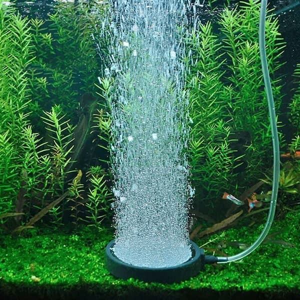 Akvarium luftspreder og boblestein for akvariepumpe
