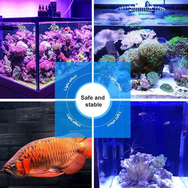 12 LED:n akvaarion kuplavalaisin, värikäs akvaarion ilmakivinen valopumppu