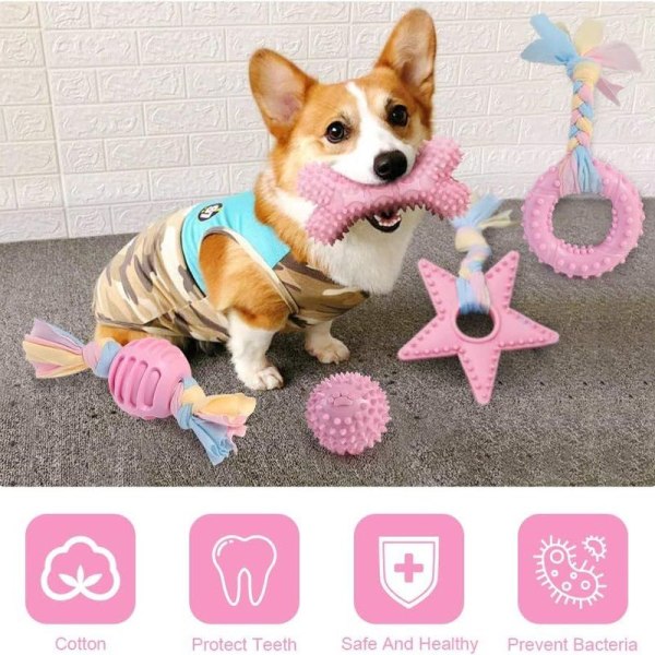 Hundleksak Rep med Boll, 5-pack Valp Leksaker för Hund Tandvård