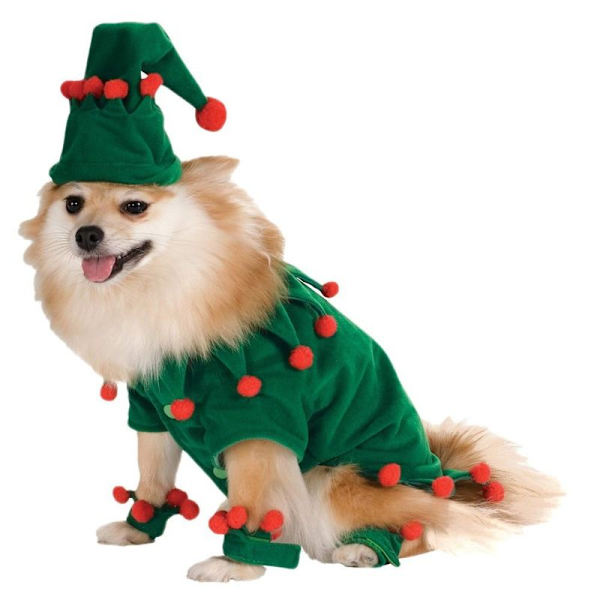 Katt Jul Katt Hund Kostym Set Husdjur Cape med Stjärna och M