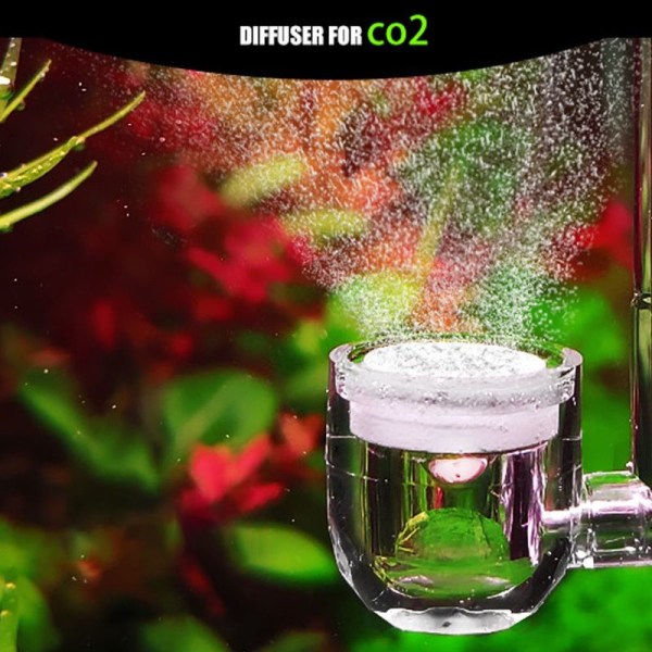 Akvarium CO2-diffusor 2 i 1 med integrert bobleteller L